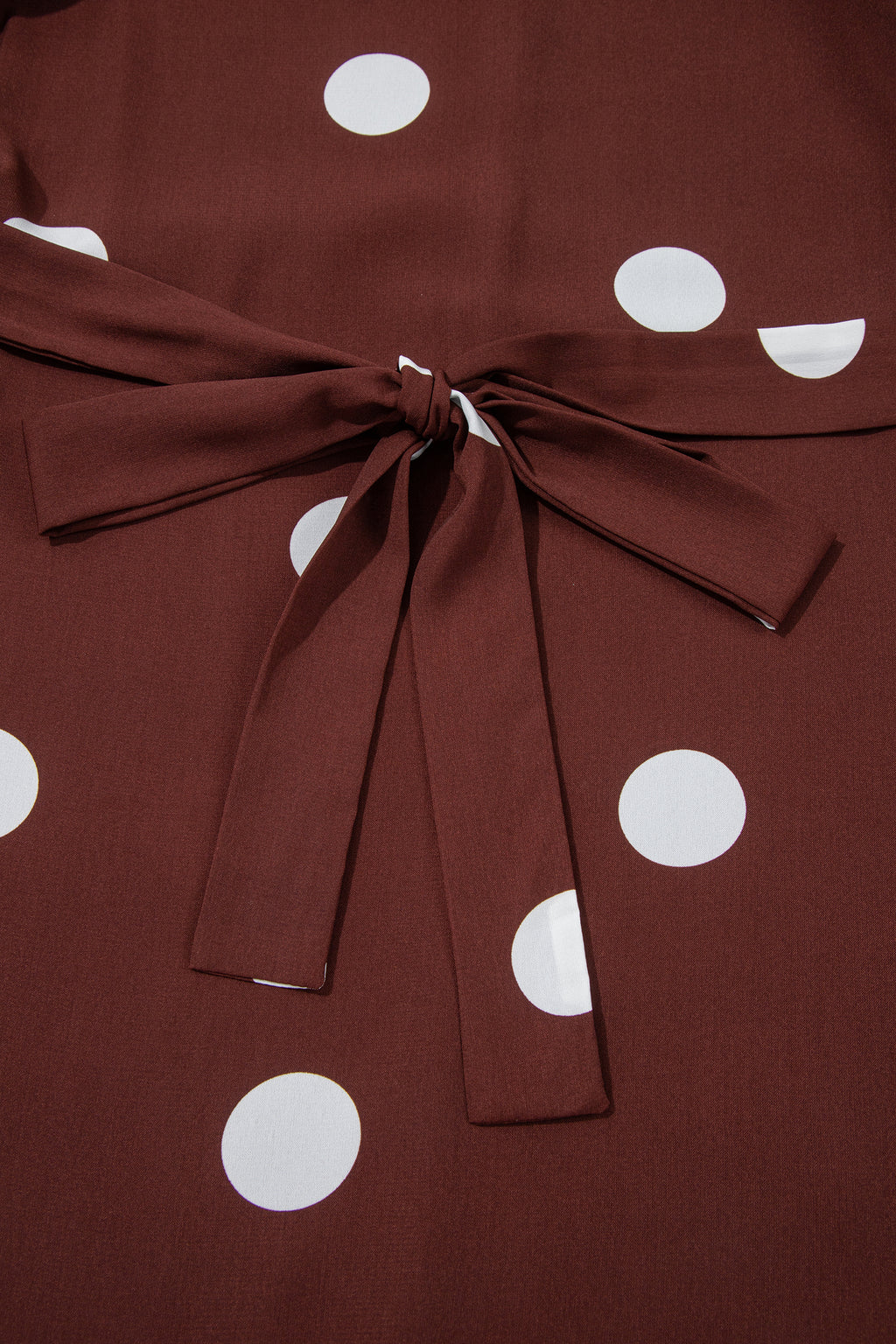"Polka Dot & Ruffles" Plus Size Dress