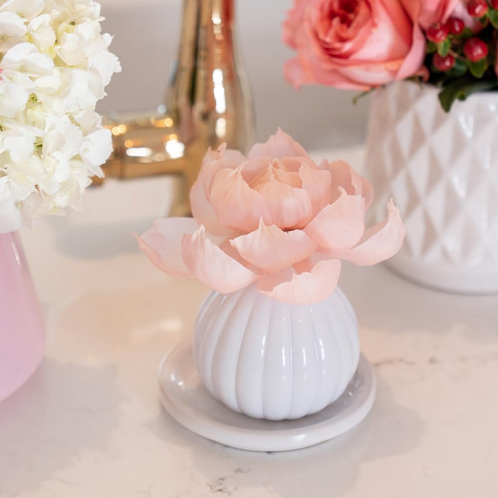 Bridgewater Candle Flower Reed Diffuser Fragranced Decorative Room Freshener-Sweet Grace