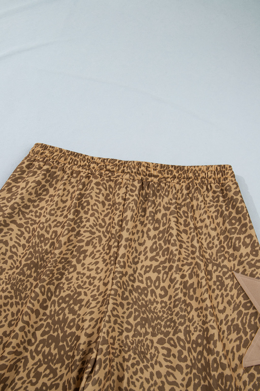 "Star Struck" Plus Size Jogger Pants